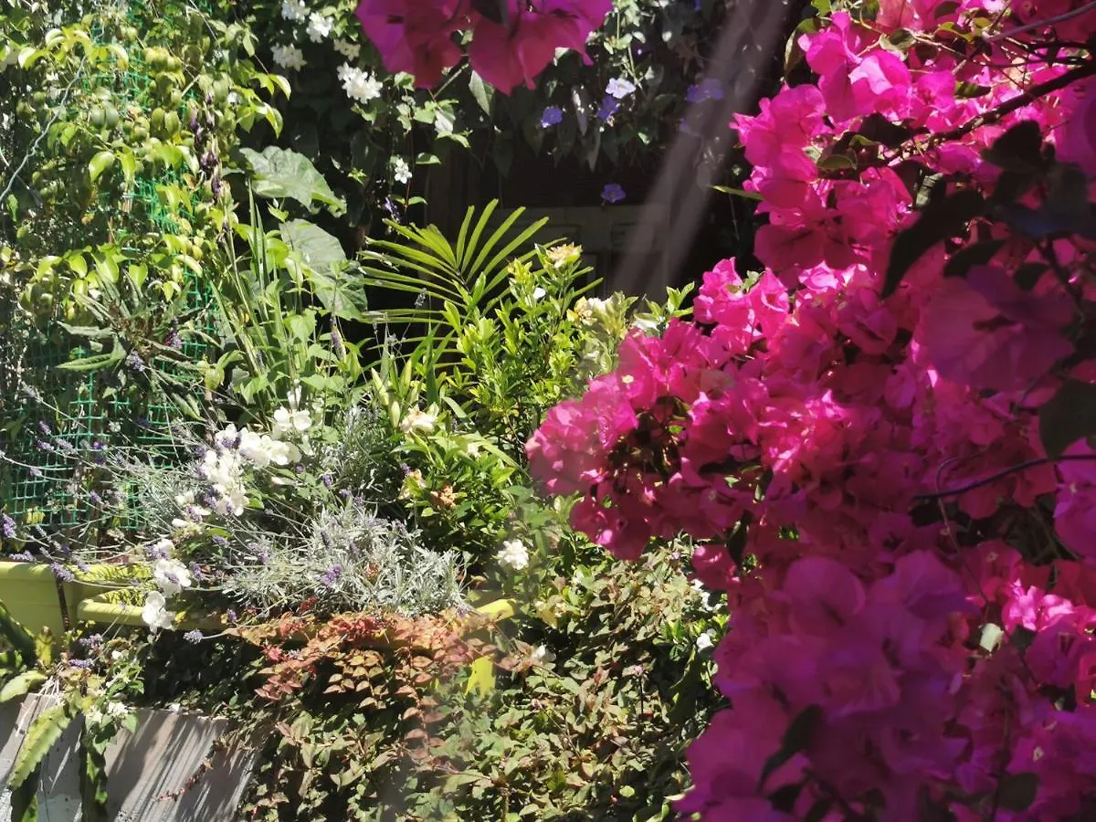*** Pensión Romantic Casa Lorenzina Affittacamere Ventimiglia Italia